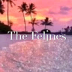 Meet your Posher, The